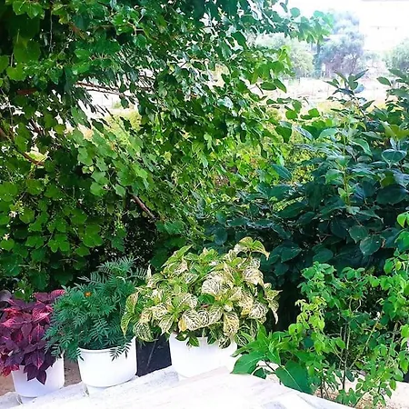 Lejlighed Philoxenia Guest