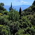 Philoxenia Guest * Himarë