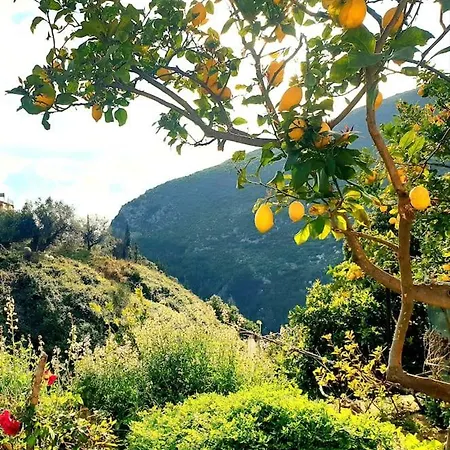 Philoxenia Guest Apartment Himare