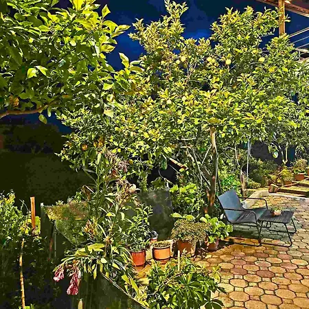 Apartment Philoxenia Guest Himare