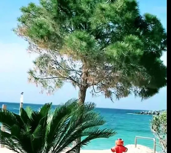 Philoxenia Guest Daire