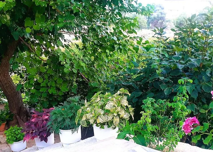 Daire Philoxenia Guest