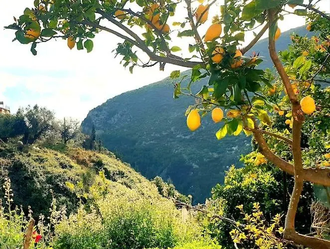 Philoxenia Guest Daire Himarë