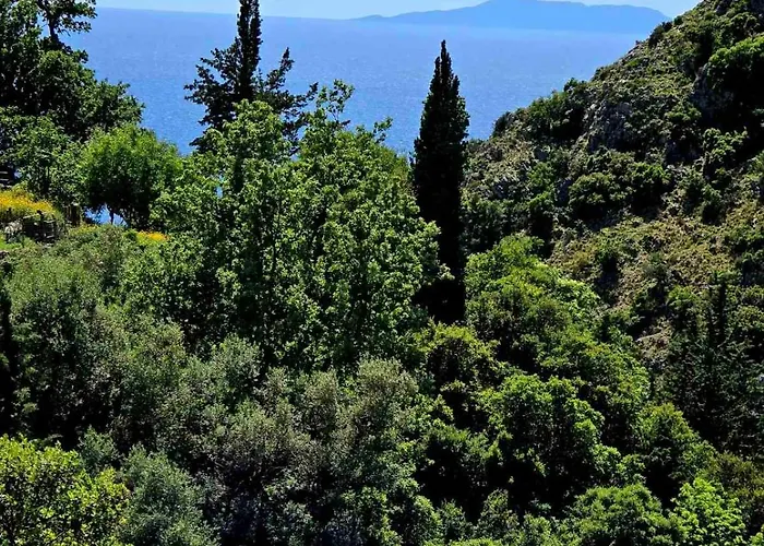 Philoxenia Guest * Himarë